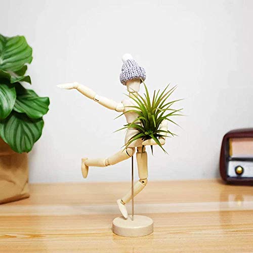 Melphoe Puppys Mom 3 Pack Air Plant Holder Wooden Jointed Mannequ...