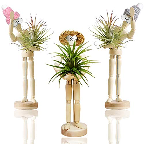 Melphoe Puppys Mom 3 Pack Air Plant Holder Wooden Jointed Mannequ...