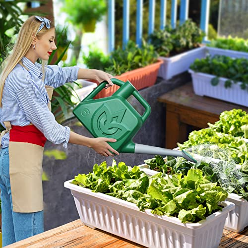 Watering Can for Indoor Outdoor Plants Garden Flower, 1.5 Gallon M...