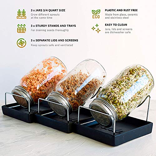 Meshin Automatic Sprouter Machine Bean Sprouts Growing Machine,LED...