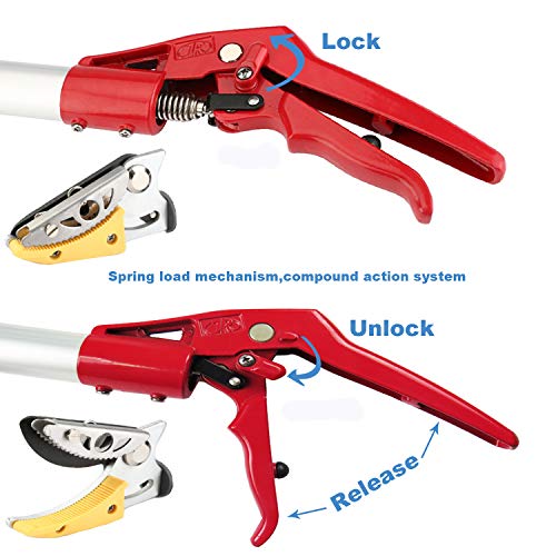 Mesoga 4.6-10 Foot Extendable Tree Pruner, Cut and Hold Pruning Tr...