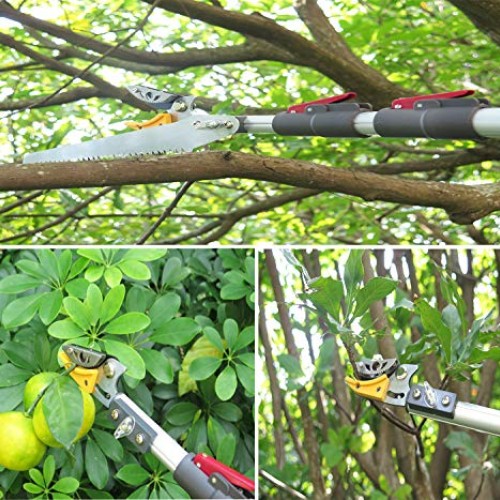 Mesoga 4.6-10 Foot Extendable Tree Pruner, Cut and Hold Pruning Tr...