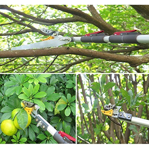 Mesoga 4.6-10 Foot Extendable Tree Pruner, Cut and Hold Pruning Tr...