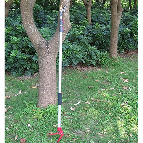 Mesoga 4.6-10 Foot Extendable Tree Pruner, Cut and Hold Pruning Tr...