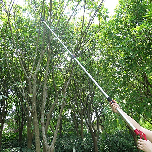 Mesoga 4.6-10 Foot Extendable Tree Pruner, Cut and Hold Pruning Tr...