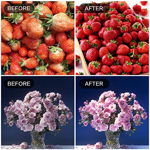 mfxmf 4 Pack LED Grow Light Bulb A19 Bulb, Full Spectrum Plant Lig...