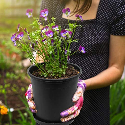 Mhonniwa 1 Gallon Nursery Pots for Plants 12 Set 6.3 Inch Plastic ...