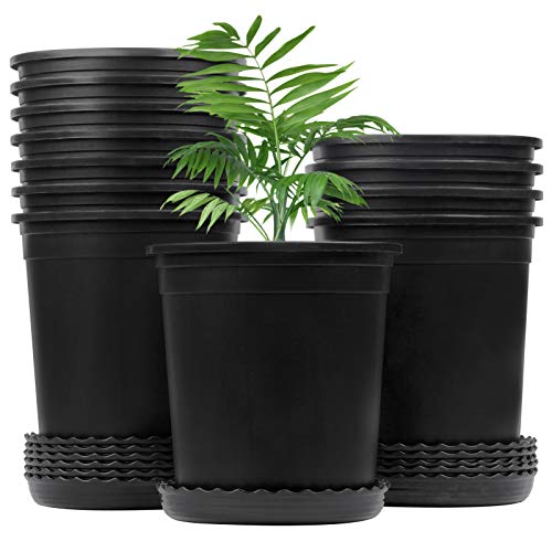 Mhonniwa 1 Gallon Nursery Pots for Plants 12 Set 6.3 Inch Plastic ...