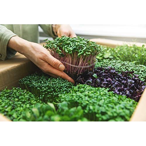 Microgreens Mats for Indoor Garden Kit - 3 1020 Microgreens Mats f...