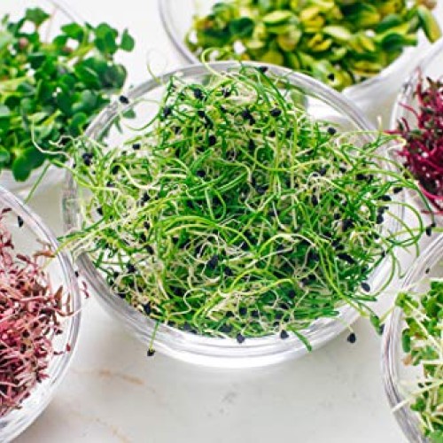 Microgreens Mats for Indoor Garden Kit - 3 1020 Microgreens Mats f...