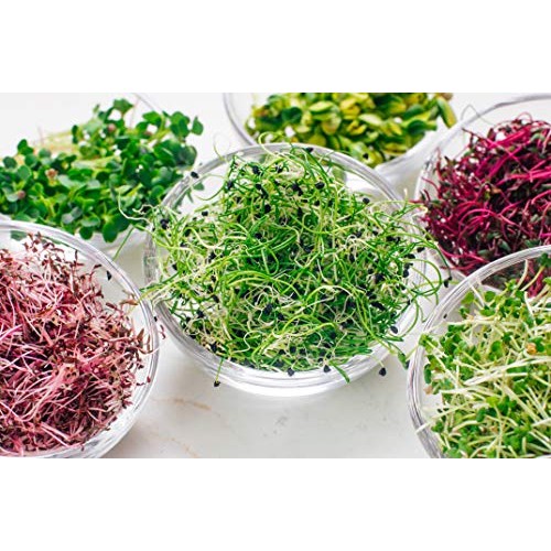 Microgreens Mats for Indoor Garden Kit - 3 1020 Microgreens Mats f...