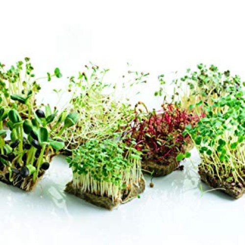 Microgreens Mats for Indoor Garden Kit - 3 1020 Microgreens Mats f...
