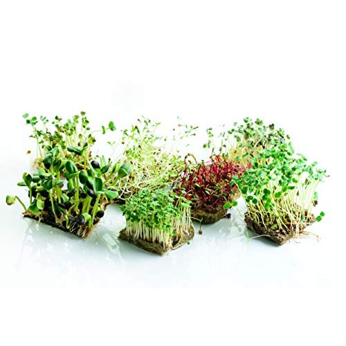 Microgreens Mats for Indoor Garden Kit - 3 1020 Microgreens Mats f...