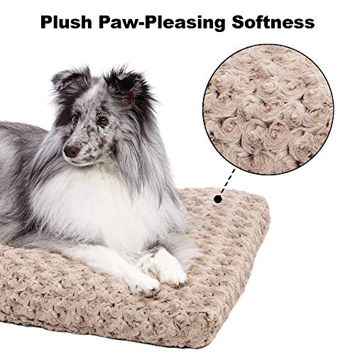 MidWest Homes for Pets Quiet Time 21-By-12-Inch Ombre? Swirl Delux...