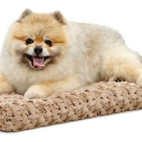 MidWest Homes for Pets Quiet Time 21-By-12-Inch Ombre? Swirl Delux...