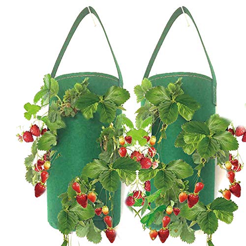 Migaven 2pcs Garden Planting Bag Multi-Mouth Hanging Strawberry He...