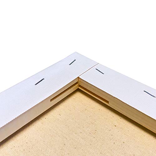 MILO PRO | 18 x 24 Stretched Canvas Pack of 4 | 3/4 inch Studio ...