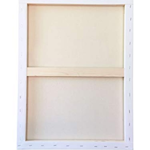 MILO PRO | 18 x 24 Stretched Canvas Pack of 4 | 3/4 inch Studio ...