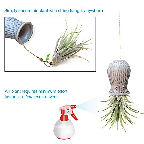 Mimeela 5 Pack Air Plant Holder Unique, Cute Octopus Air Plant Han...