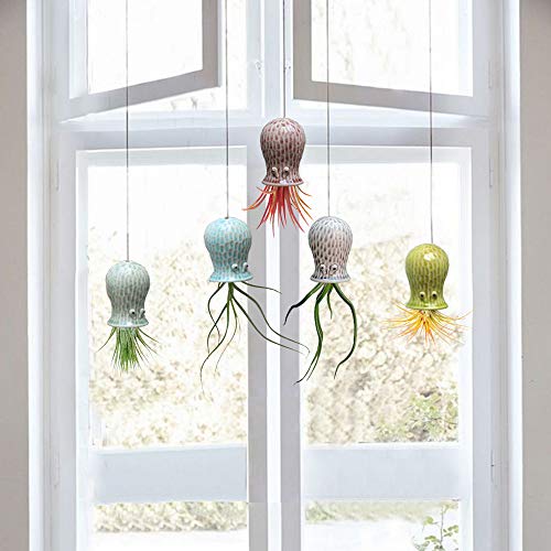 Mimeela 5 Pack Air Plant Holder Unique, Cute Octopus Air Plant Han...