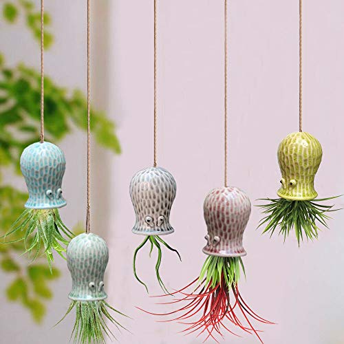 Mimeela 5 Pack Air Plant Holder Unique, Cute Octopus Air Plant Han...