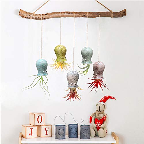 Mimeela 5 Pack Air Plant Holder Unique, Cute Octopus Air Plant Han...