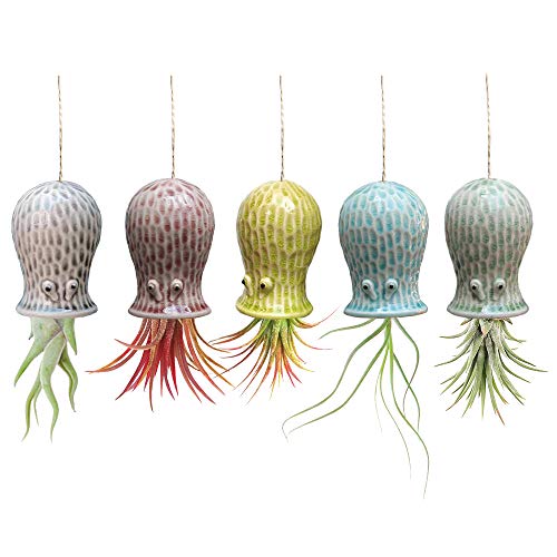 Mimeela 5 Pack Air Plant Holder Unique, Cute Octopus Air Plant Han...