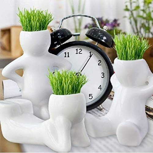 Minelife 4 Pack Ceramic People Planters for Air Plants, Air Plant ...