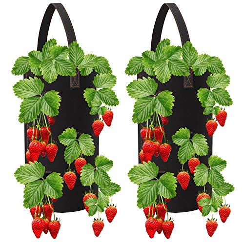 Minterest 2pcs Garden Planting Bag Multi-Mouth Hanging Strawberry ...