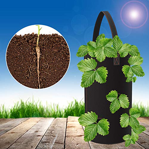 Minterest 2pcs Garden Planting Bag Multi-Mouth Hanging Strawberry ...