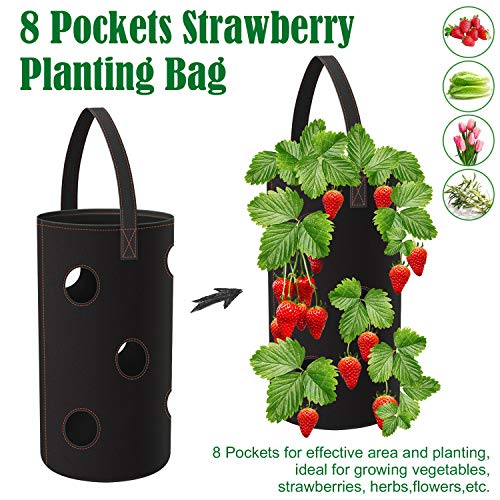 Minterest 2pcs Garden Planting Bag Multi-Mouth Hanging Strawberry ...