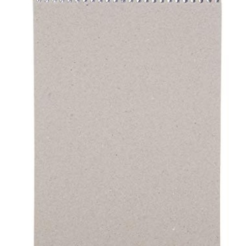 Mintra Office Steno Books - Pastel 8 Pack, Narrow Ruled Paper, 6 ...