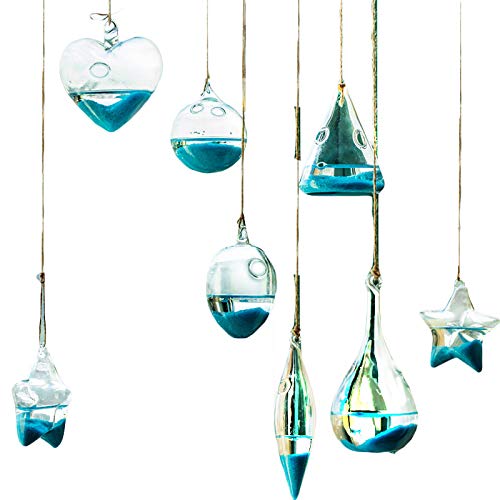MIRACLE BLACK 5 Pcs Glass Hanging Water Planters Terrariums, hydro...