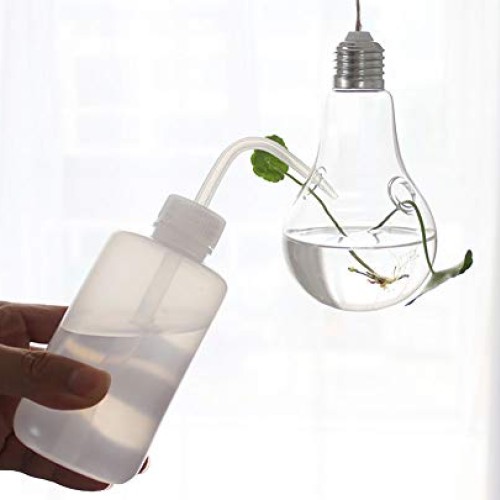 MIRACLE BLACK 5 Pcs Glass Hanging Water Planters Terrariums, hydro...