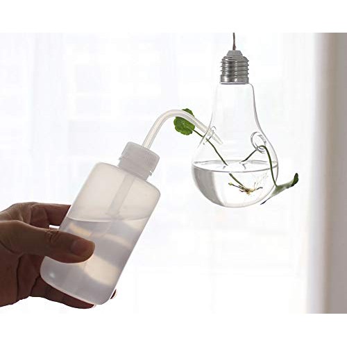 MIRACLE BLACK 5 Pcs Glass Hanging Water Planters Terrariums, hydro...