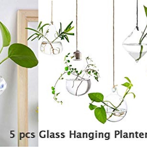 MIRACLE BLACK 5 Pcs Glass Hanging Water Planters Terrariums, hydro...