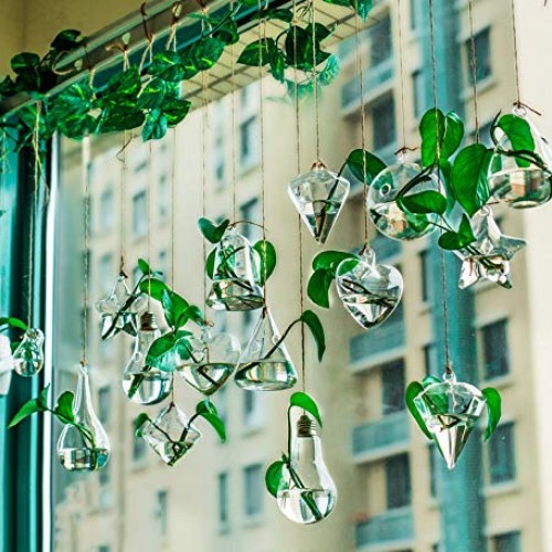 MIRACLE BLACK 5 Pcs Glass Hanging Water Planters Terrariums, hydro...