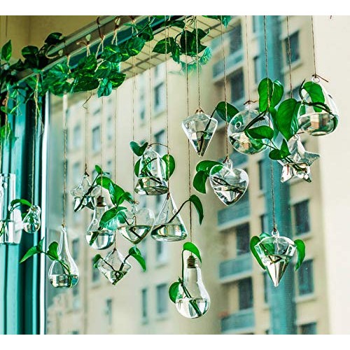 MIRACLE BLACK 5 Pcs Glass Hanging Water Planters Terrariums, hydro...