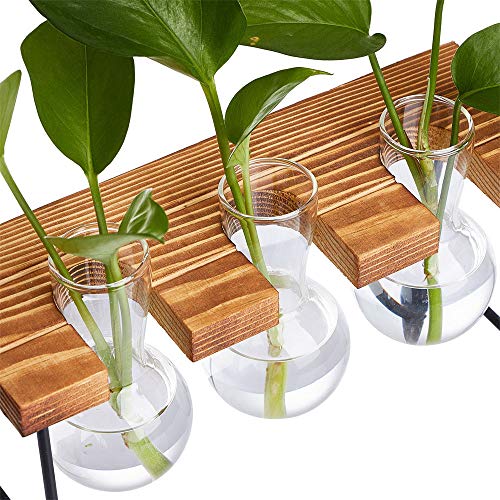 MIRACLE BLACK Air Plant Terrarium, Desktop Glass Planter Bulb Vase...