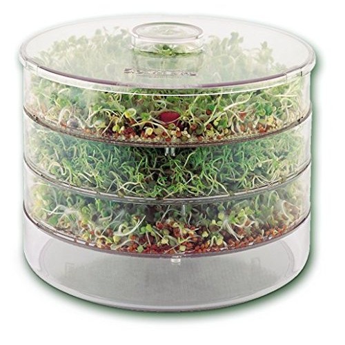 Biosta 3 Tier Sprouting Kit Green ME95