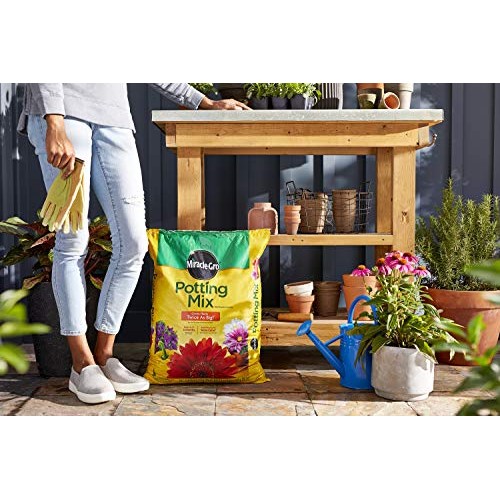 Miracle-Gro 75651300 Potting Mix, 1-Cubic Foot