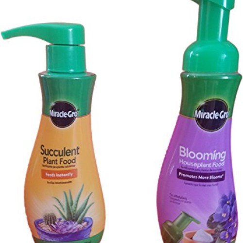 Miracle-Gro Blooming Houseplant Food, 8 oz & Miracle-Gro Succulent...