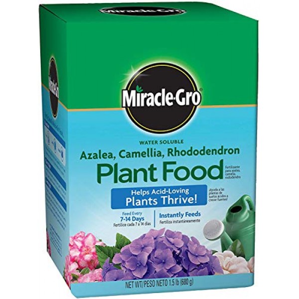 Miracle-Gro Plant Food for Azaleas, Camellias, and Rhododendrons, ...
