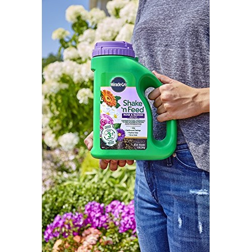 Miracle-Gro Shake N Feed Rose & Bloom Plant Food, 4.5 lb.