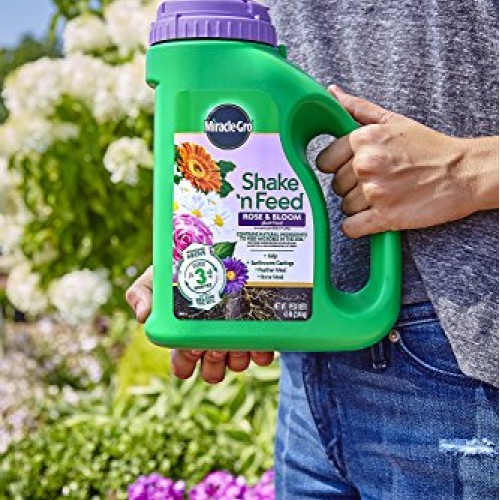 Miracle-Gro Shake N Feed Rose & Bloom Plant Food, 4.5 lb.