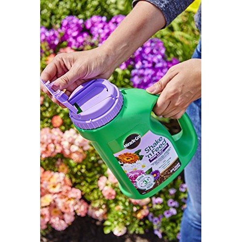 Miracle-Gro Shake N Feed Rose & Bloom Plant Food, 4.5 lb.