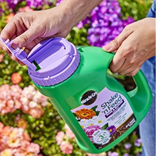 Miracle-Gro Shake N Feed Rose & Bloom Plant Food, 4.5 lb.