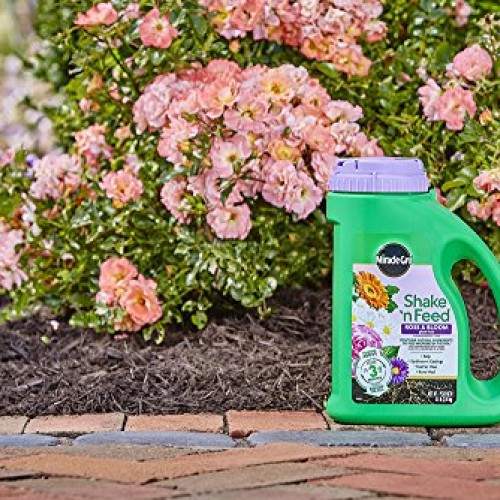 Miracle-Gro Shake N Feed Rose & Bloom Plant Food, 4.5 lb.