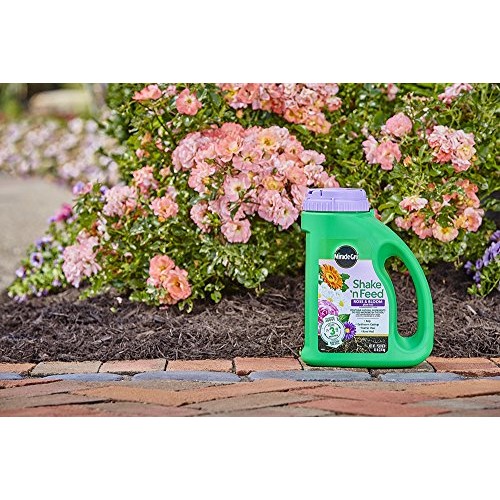 Miracle-Gro Shake N Feed Rose & Bloom Plant Food, 4.5 lb.