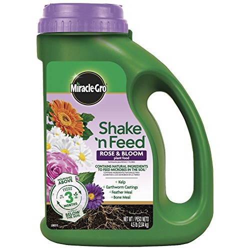 Miracle-Gro Shake N Feed Rose & Bloom Plant Food, 4.5 lb.